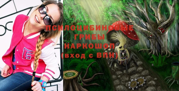 стаф Алзамай