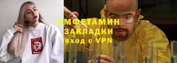 стаф Алзамай