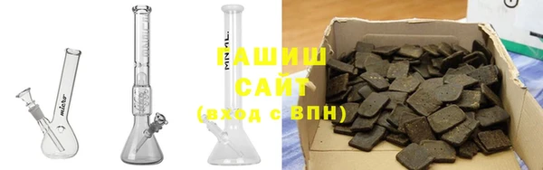 стаф Алзамай