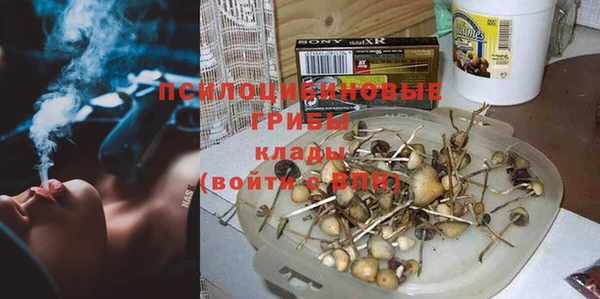 мескалин Алексин
