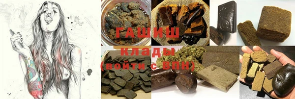 стаф Алзамай