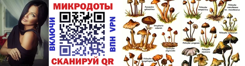 дарнет шоп гидра ссылки Галлюциногенные грибы Cubensis Калтан